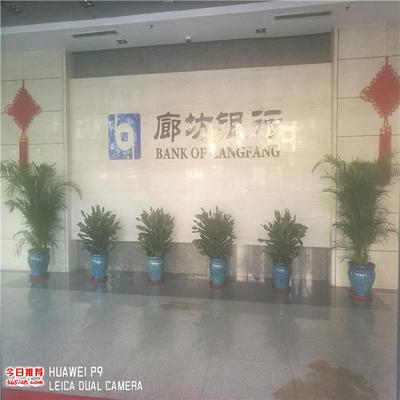 天津?qū)I(yè)花卉綠植租擺與銷售服務