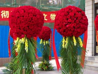 廣州白云區(qū)剪彩禮儀用品與開業(yè)花籃服務 花卉綠植租借全解析